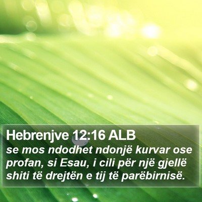 Hebrenjve 12:16 ALB Bible Verse Image