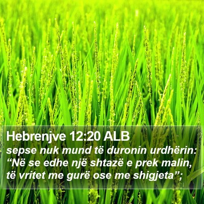 Hebrenjve 12:20 ALB Bible Verse Image