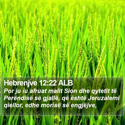 Hebrenjve 12:22 ALB Bible Verse Image