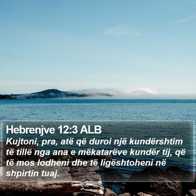 Hebrenjve 12:3 ALB Bible Verse Image