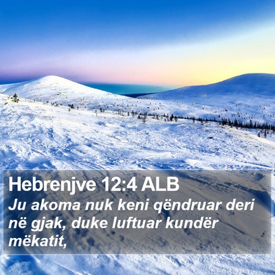 Hebrenjve 12:4 ALB Bible Verse Image
