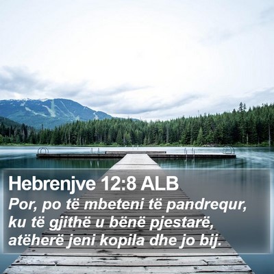 Hebrenjve 12:8 ALB Bible Verse Image