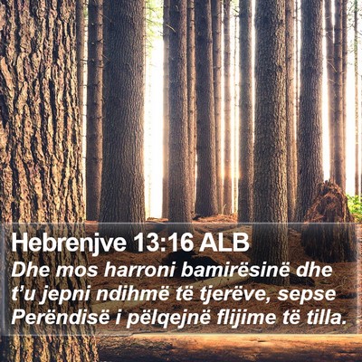 Hebrenjve 13:16 ALB Bible Verse Image