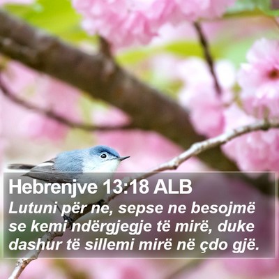 Hebrenjve 13:18 ALB Bible Verse Image