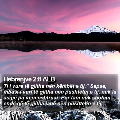 Hebrenjve 2:8 ALB Bible Verse Image