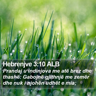 Hebrenjve 3:10 ALB Bible Verse Image