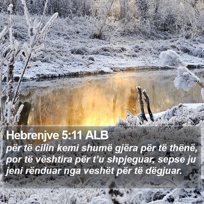 Hebrenjve 5:11 ALB Bible Verse Image