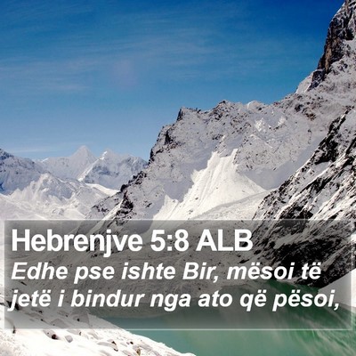 Hebrenjve 5:8 ALB Bible Verse Image