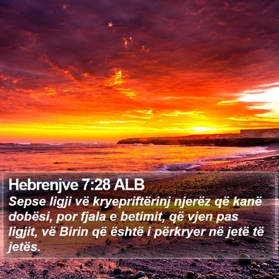 Hebrenjve 7:28 ALB Bible Verse Image