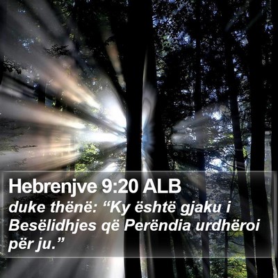 Hebrenjve 9:20 ALB Bible Verse Image