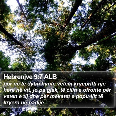 Hebrenjve 9:7 ALB Bible Verse Image