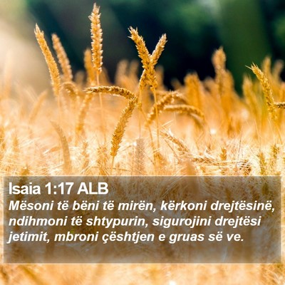 Isaia 1:17 ALB Bible Verse Image