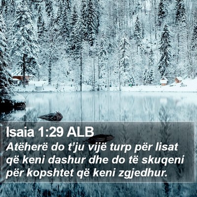 Isaia 1:29 ALB Bible Verse Image
