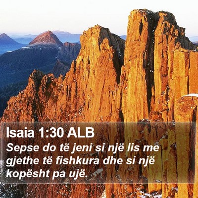 Isaia 1:30 ALB Bible Verse Image