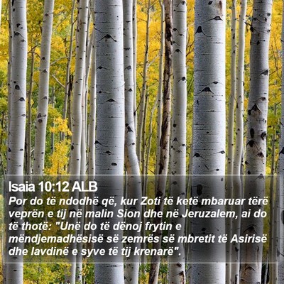 Isaia 10:12 ALB Bible Verse Image
