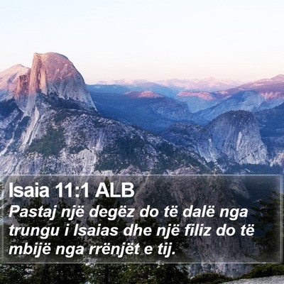 Isaia 11:1 ALB Bible Verse Image