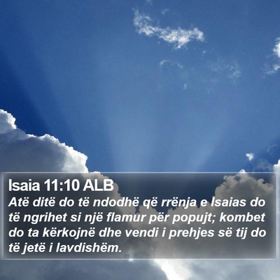 Isaia 11:10 ALB Bible Verse Image