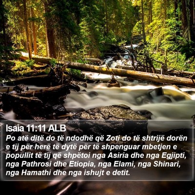 Isaia 11:11 ALB Bible Verse Image