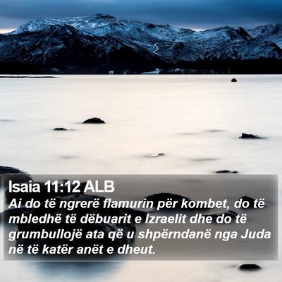 Isaia 11:12 ALB Bible Verse Image