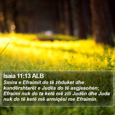 Isaia 11:13 ALB Bible Verse Image