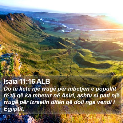 Isaia 11:16 ALB Bible Verse Image