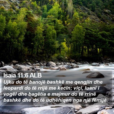 Isaia 11:6 ALB Bible Verse Image