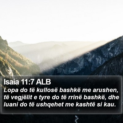 Isaia 11:7 ALB Bible Verse Image