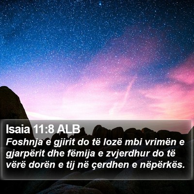 Isaia 11:8 ALB Bible Verse Image