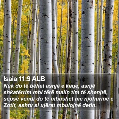 Isaia 11:9 ALB Bible Verse Image