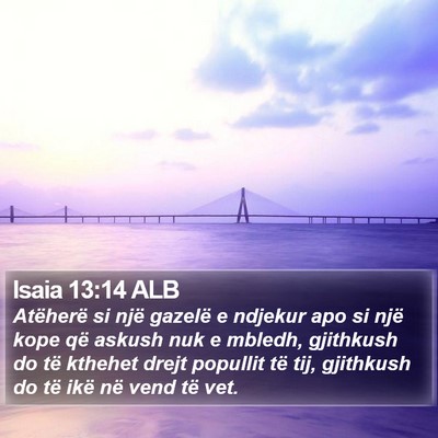 Isaia 13:14 ALB Bible Verse Image