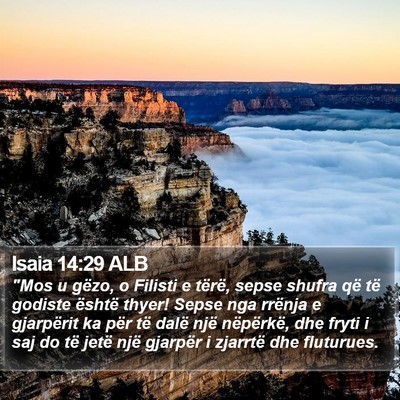 Isaia 14:29 ALB Bible Verse Image