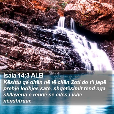 Isaia 14:3 ALB Bible Verse Image