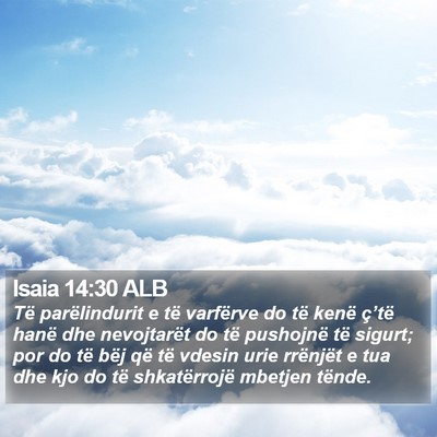 Isaia 14:30 ALB Bible Verse Image