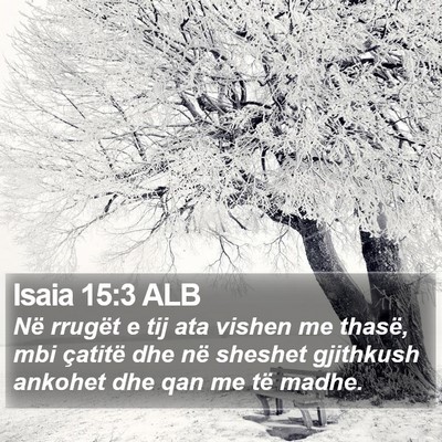 Isaia 15:3 ALB Bible Verse Image