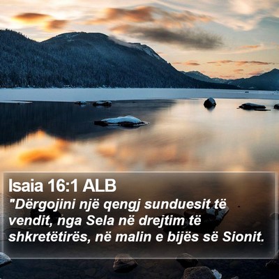 Isaia 16:1 ALB Bible Verse Image