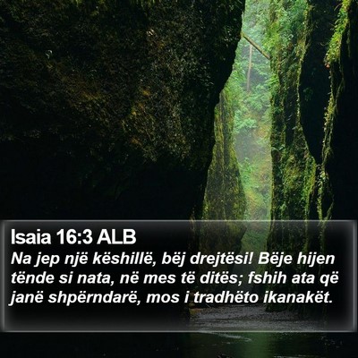 Isaia 16:3 ALB Bible Verse Image