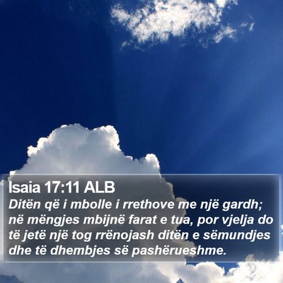 Isaia 17:11 ALB Bible Verse Image