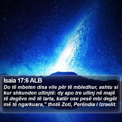 Isaia 17:6 ALB Bible Verse Image