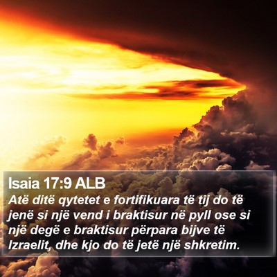 Isaia 17:9 ALB Bible Verse Image