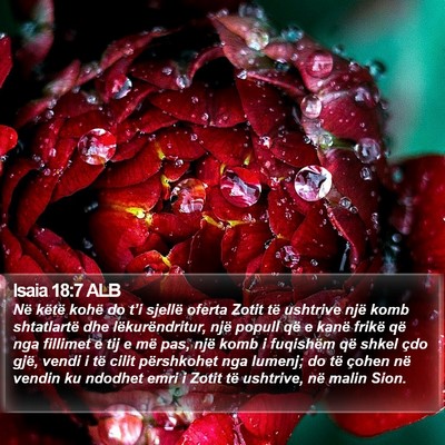 Isaia 18:7 ALB Bible Verse Image