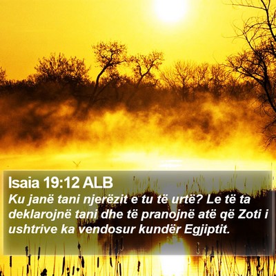 Isaia 19:12 ALB Bible Verse Image