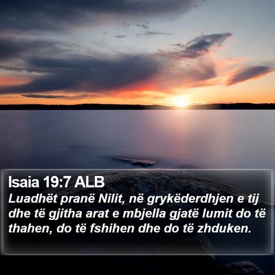 Isaia 19:7 ALB Bible Verse Image