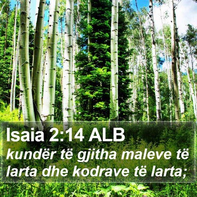 Isaia 2:14 ALB Bible Verse Image