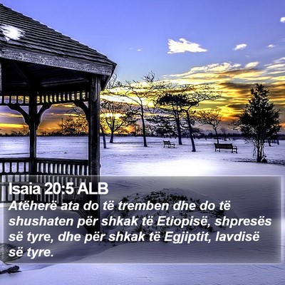 Isaia 20:5 ALB Bible Verse Image