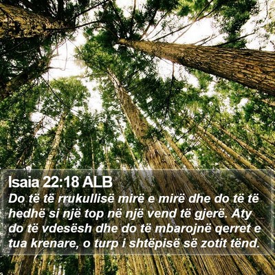 Isaia 22:18 ALB Bible Verse Image