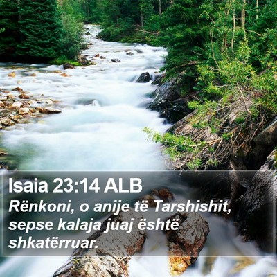 Isaia 23:14 ALB Bible Verse Image