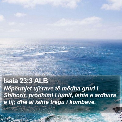 Isaia 23:3 ALB Bible Verse Image