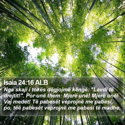 Isaia 24:16 ALB Bible Verse Image