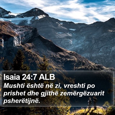 Isaia 24:7 ALB Bible Verse Image