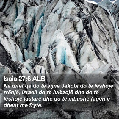 Isaia 27:6 ALB Bible Verse Image
